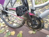 Imagine atasata: velo-13.nov.2017-008.jpg